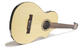 Line 6 Variax Acoustic 300 Nylon